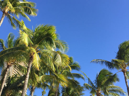 ハワイの青空