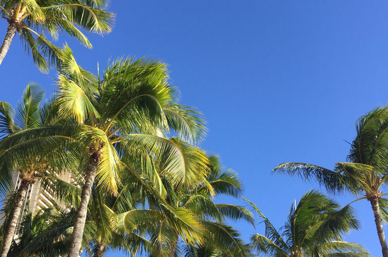 ハワイの青空