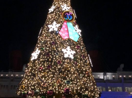 クリスマスツリー